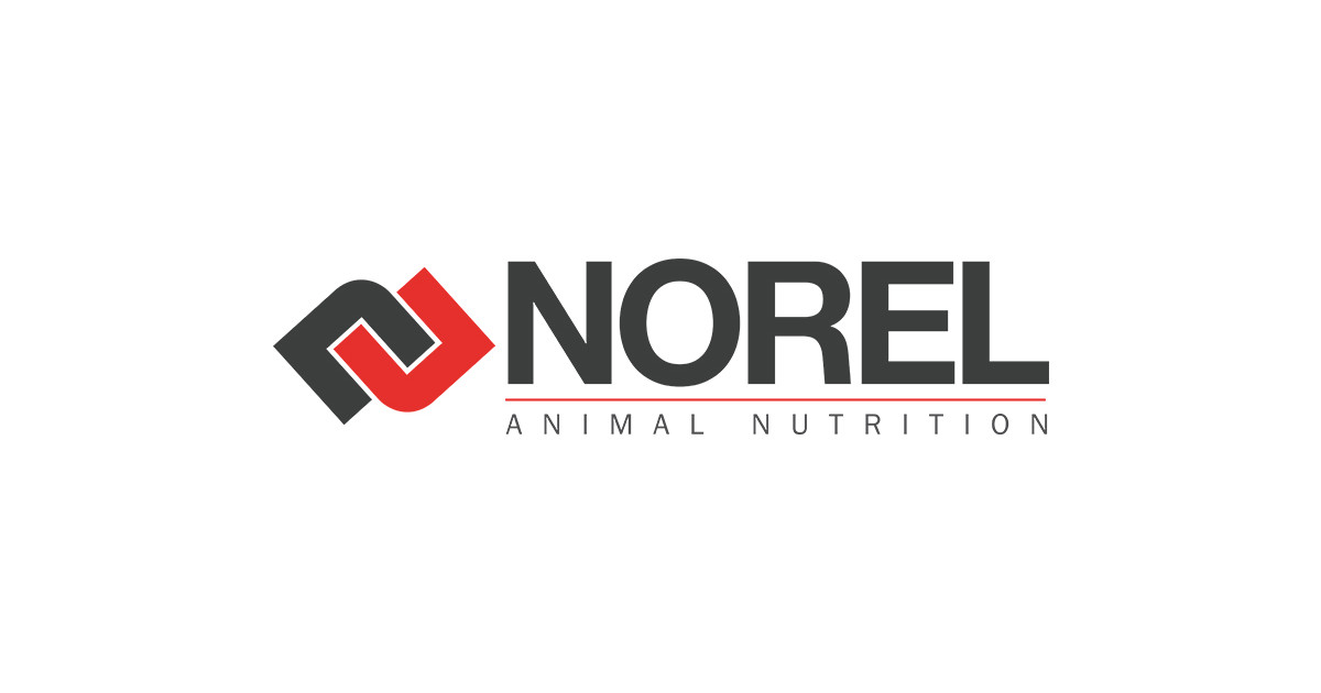 Norel